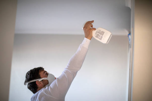 Best Mold Testing and Inspection Services in East Wenatchee, WA
