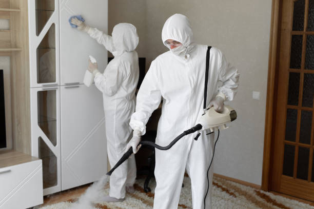 Best Commercial Mold Remediation in East Wenatchee, WA